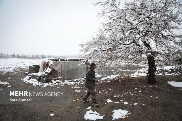 مشهد در یک روز برفی