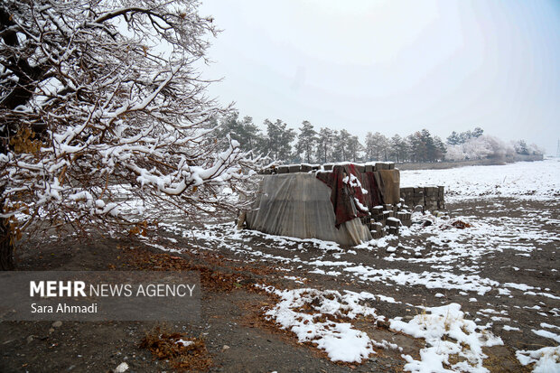 مشهد در یک روز برفی