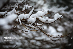 آغاز بارش برف در نیشابور