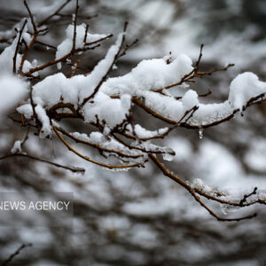 آغاز بارش برف در نیشابور