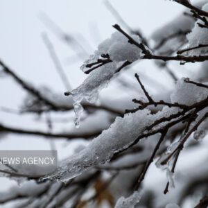 تمامی مدارس شهرستان کهک شنبه غیرحضوری شد