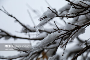 بارش برف در مشهد آغاز شد