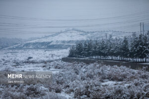 رضایی پور: دمای هوای مشهد در شب یلدا به منفی ۸ درجه می رسد