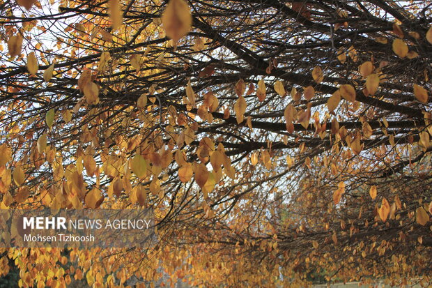 پاییز کم‌باران، اما دل‌نشینِ خرم‌آباد