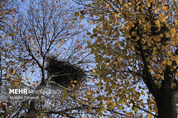 پاییز کم‌باران، اما دل‌نشینِ خرم‌آباد