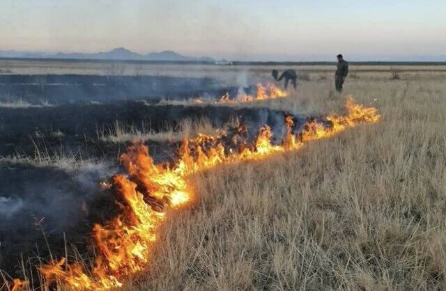آتش سوزی در جاده لاهیجان - آج بیشه