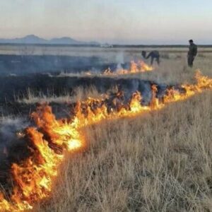 آتش‌سوزی در جنوب پارک ملی دریاچه ارومیه مهار شد