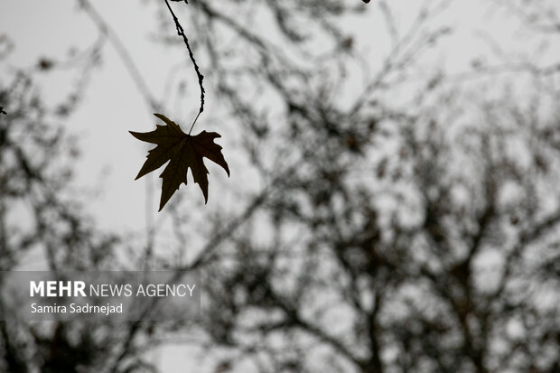 آخرین روزهای پاییز تهران