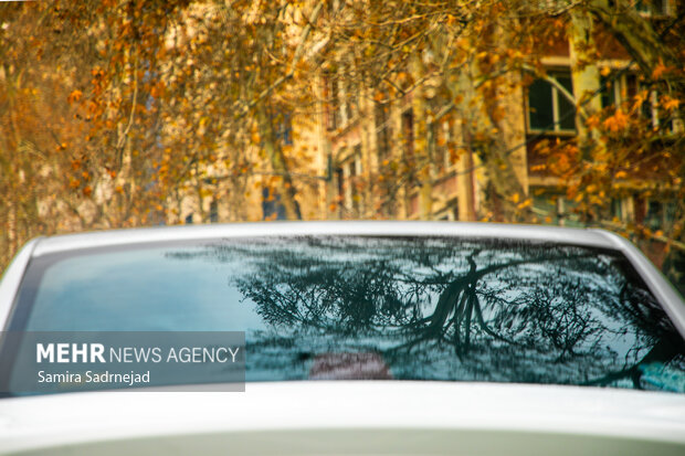 آخرین روزهای پاییز تهران