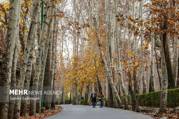 آخرین روزهای پاییز تهران