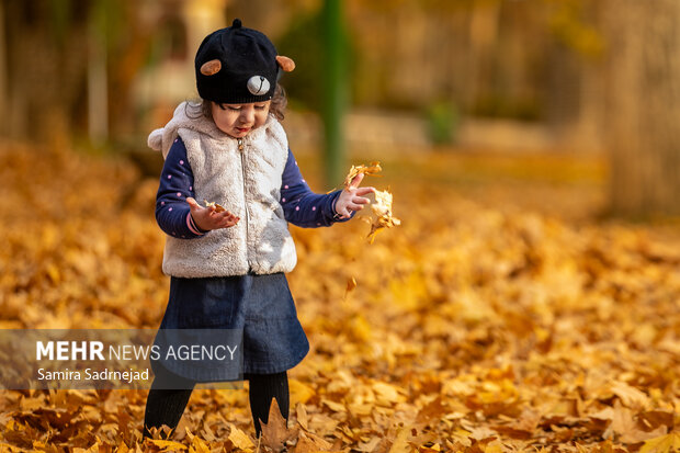 آخرین روزهای پاییز تهران