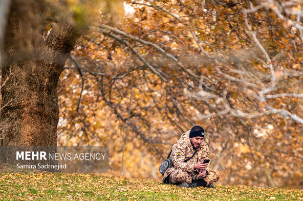 آخرین روزهای پاییز تهران