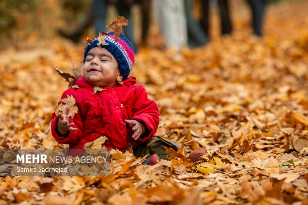 آخرین روزهای پاییز تهران