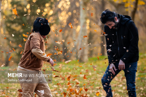 آخرین روزهای پاییز تهران