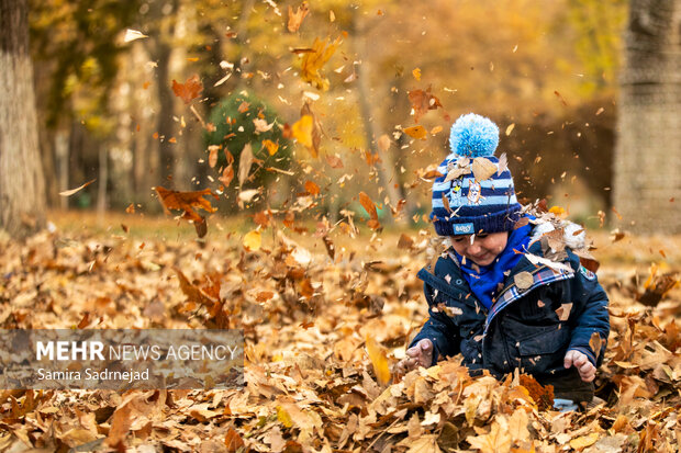 آخرین روزهای پاییز تهران