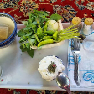 سیناییان: مجوز نخستین رستوران بوتیک شیروان صادر شد