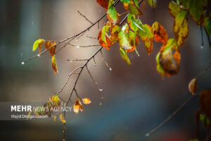 فعالیت سامانه بارشی زودگذر در آسمان لرستان