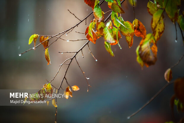 سامانه بارشی در راه خراسان جنوبی؛ تداوم سرمای شبانه