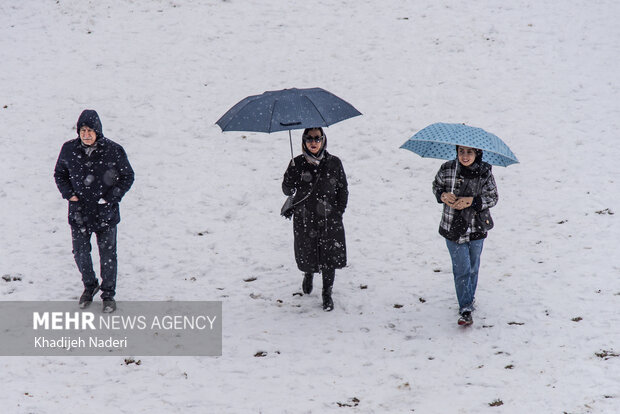 نخستین برف زمستانی در نصف جهان