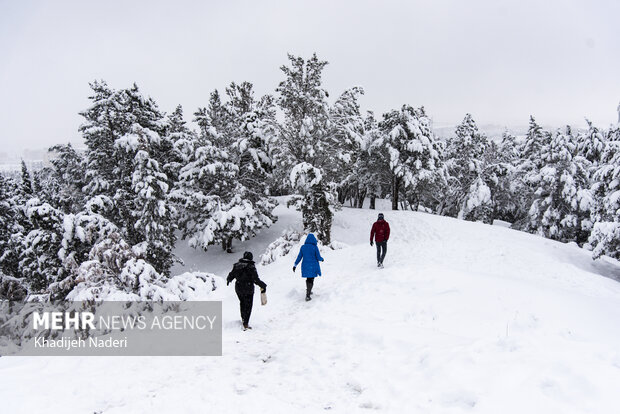 بارش ۵۵ سانتی متری برف در روستای علی کرمی دمچنار