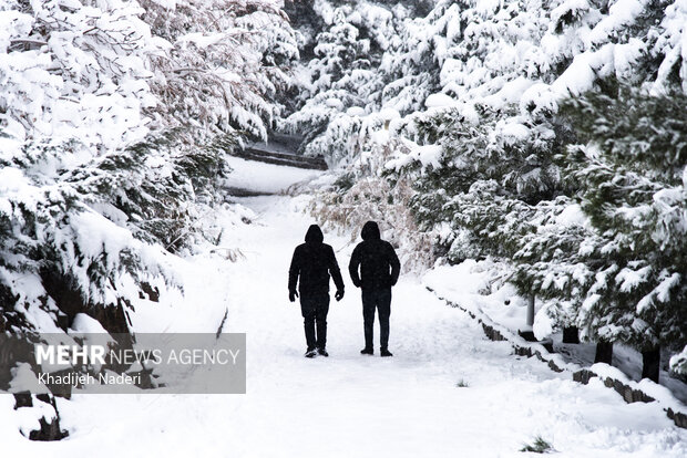نخستین برف زمستانی در نصف جهان