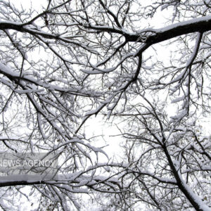 تعطیلی نوبت صبح مدارس سلفچگان، خلجستان و قاهان در روز شنبه ۲۹ آذرماه