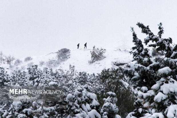 نخستین برف زمستانی در نصف جهان