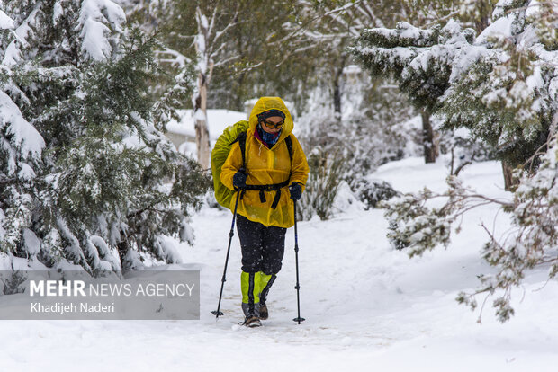نخستین برف زمستانی در نصف جهان