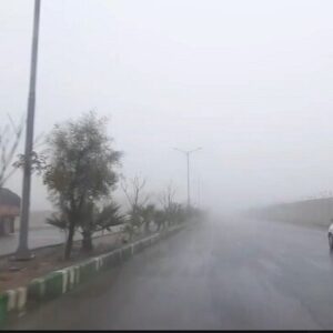 هشدار مه صبحگاهی در محورهای استان بوشهر
