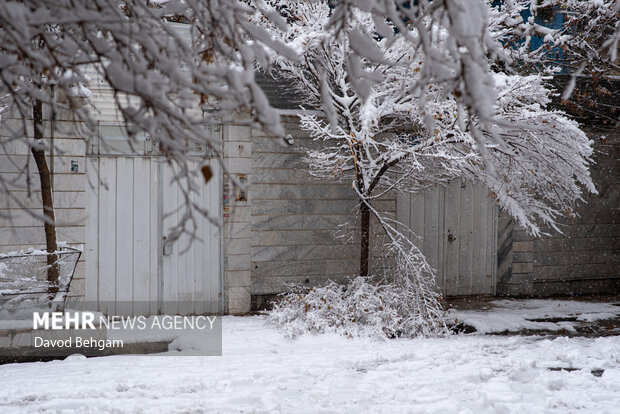 سفیدپوش شدن مشهد در آستانه یلدا