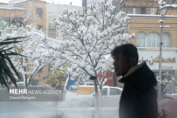 سفیدپوش شدن مشهد در آستانه یلدا