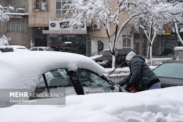 سفیدپوش شدن مشهد در آستانه یلدا