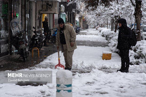 سفیدپوش شدن مشهد در آستانه یلدا