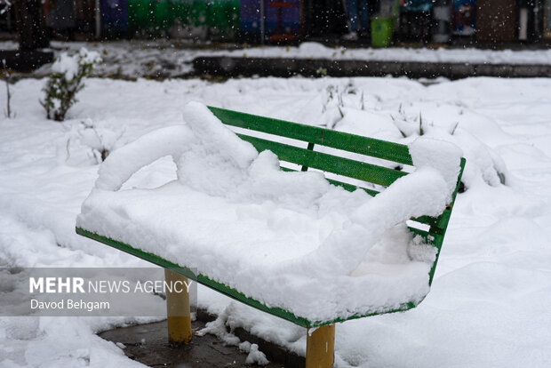 سفیدپوش شدن مشهد در آستانه یلدا