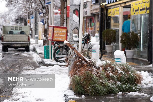 سفیدپوش شدن مشهد در آستانه یلدا