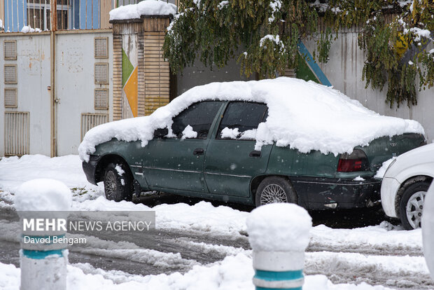 سفیدپوش شدن مشهد در آستانه یلدا