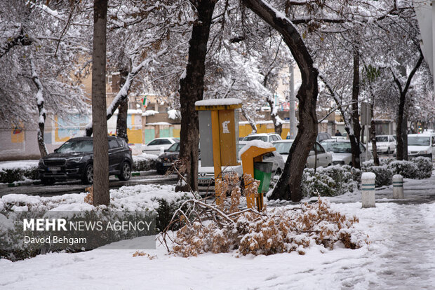سفیدپوش شدن مشهد در آستانه یلدا