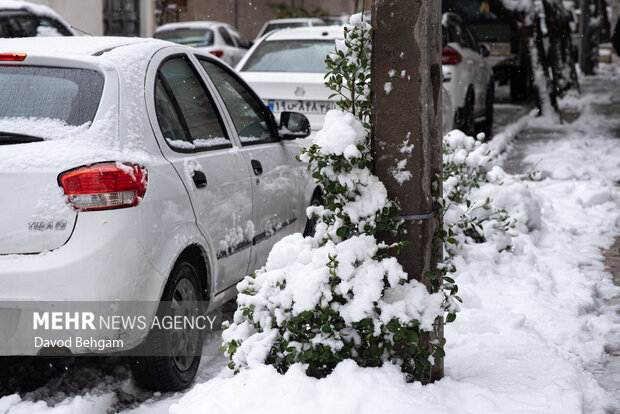 سفیدپوش شدن مشهد در آستانه یلدا