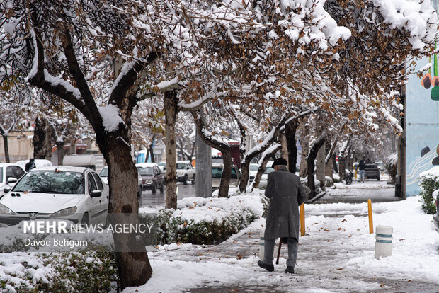 سفیدپوش شدن مشهد در آستانه یلدا