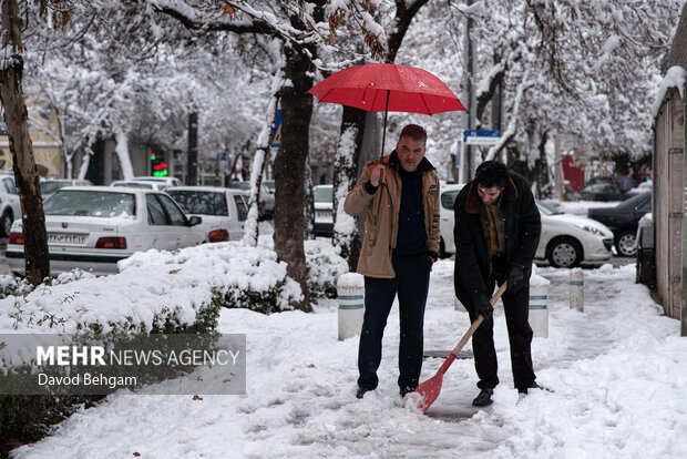 سفیدپوش شدن مشهد در آستانه یلدا