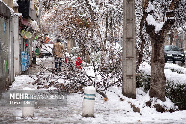 سفیدپوش شدن مشهد در آستانه یلدا