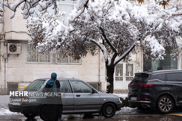 سفیدپوش شدن مشهد در آستانه یلدا