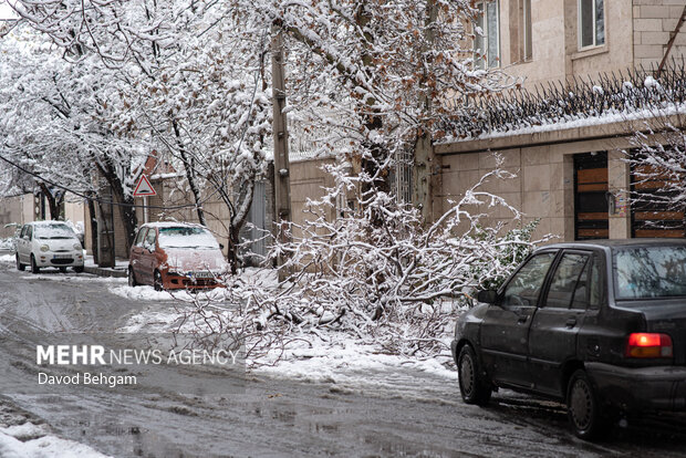 سفیدپوش شدن مشهد در آستانه یلدا