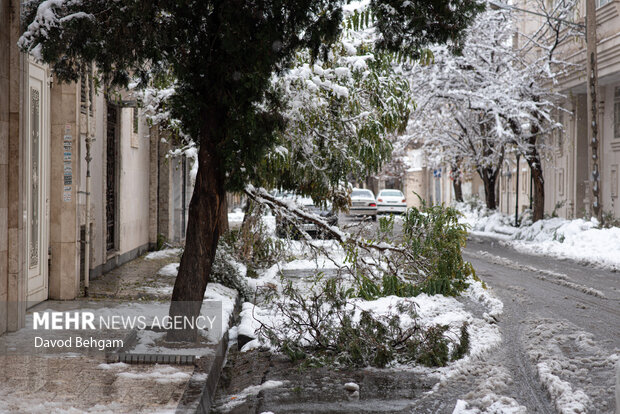 سفیدپوش شدن مشهد در آستانه یلدا