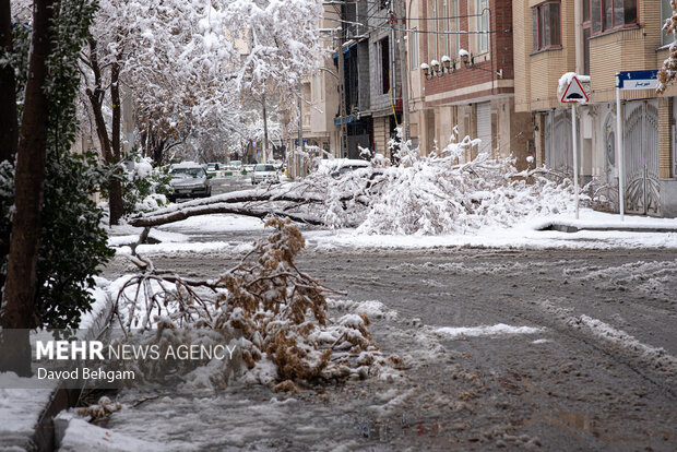 سفیدپوش شدن مشهد در آستانه یلدا