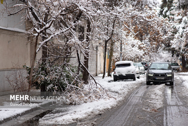 سفیدپوش شدن مشهد در آستانه یلدا