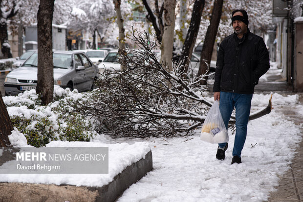 سفیدپوش شدن مشهد در آستانه یلدا