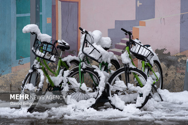 سفیدپوش شدن مشهد در آستانه یلدا