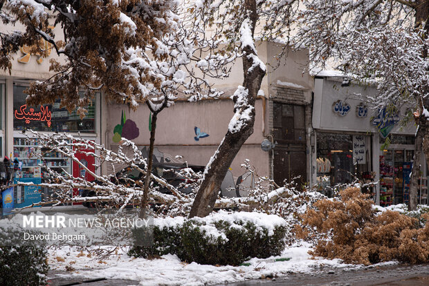 سفیدپوش شدن مشهد در آستانه یلدا