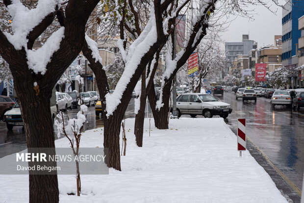 سفیدپوش شدن مشهد در آستانه یلدا